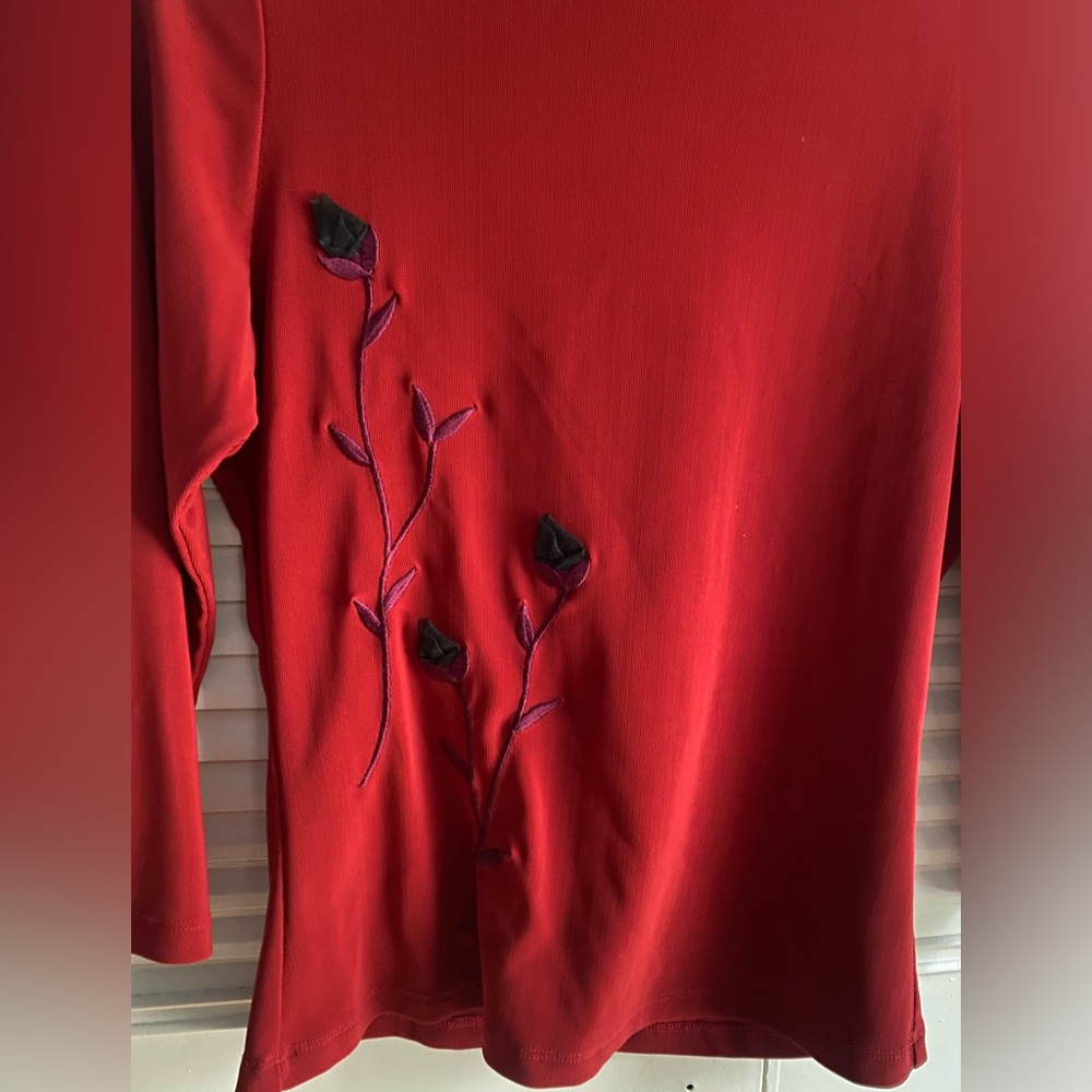 Red Parameter blouse